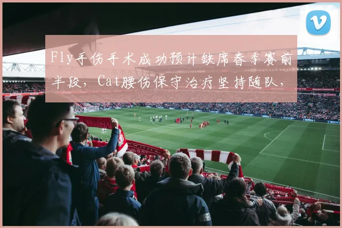 Fly手伤手术成功预计缺席春季赛前半段,Cat腰伤保守治疗坚持随队,KPL老将伤停策略迥异